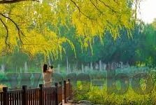 九游苹果客户端下载-九游苹果客户端下载——掌握最便捷的游戏乐趣获取方式