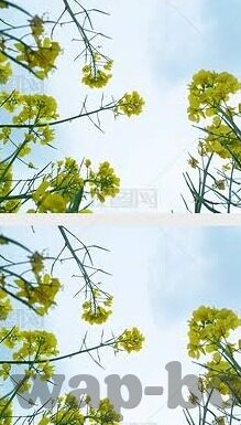 球探网足球比分预测-球探网足球比分预测，科技赋能下的精准赛事洞察新篇章