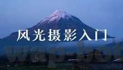 全世界杯葡萄牙族人口-全世界杯葡萄牙族人口的独特风采