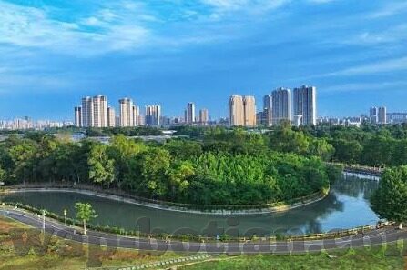 天天竞赛百家乐-天天竞赛与百家乐，一场智慧与乐趣的盛宴